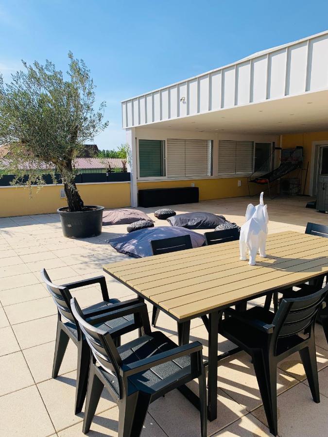 La Terrasse Du Parc Apartamento Marckolsheim Exterior foto